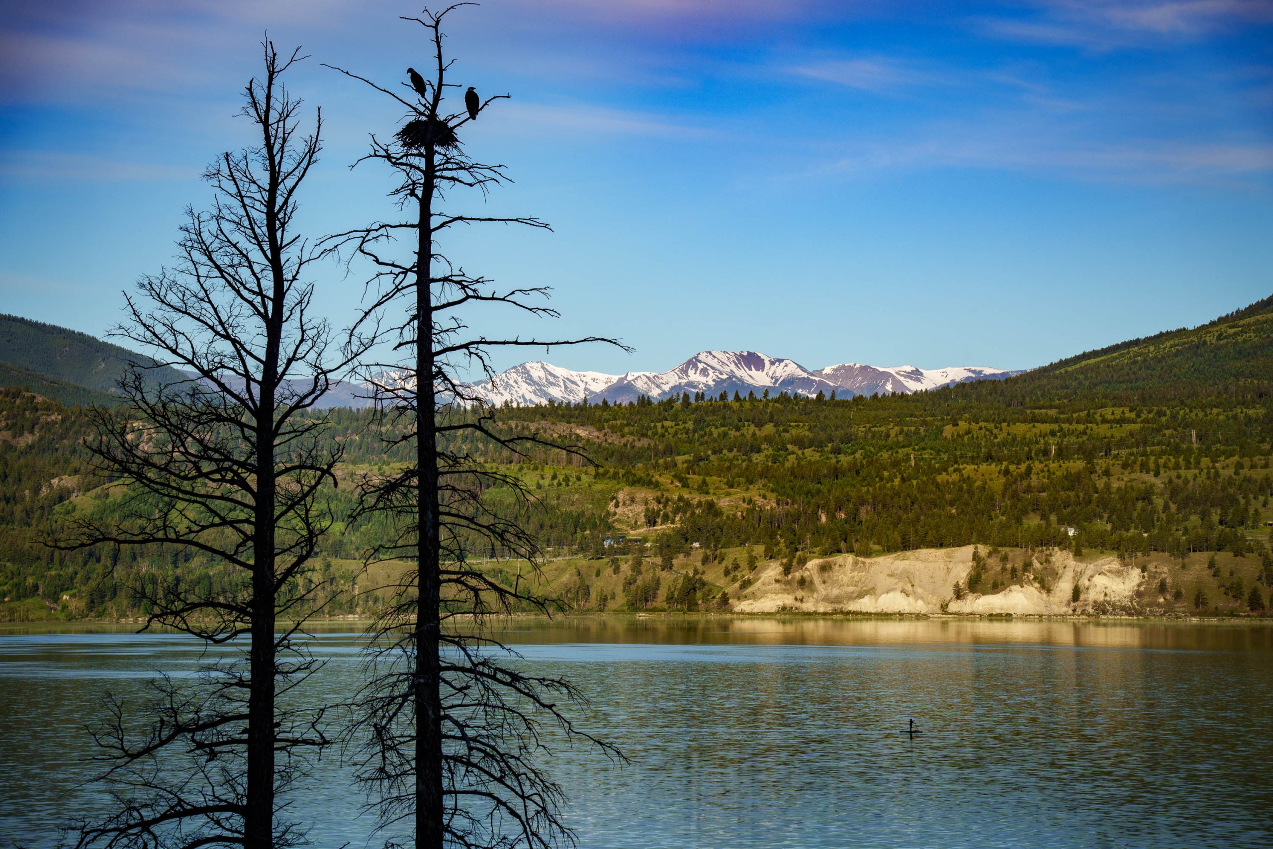 Columbia Lake Wildlife Corridor